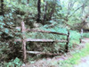 Abandoned Fence by Kim Curinga (24 x 18)