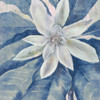 Heavenly Blue II by Steve Hunziker (12 x 12)