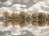 Trees along the lake by Assaf Frank (24 x 18)