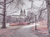 Pathway through Central park-New York by Assaf Frank (24 x 17)