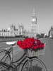 Bicycle with bunch of flowers on Westminster Bridge-London-UK by Assaf Frank (18 x 24)