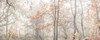 MIsty forest by Assaf Frank (24 x 10)