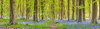 Pathway through forest by Assaf Frank (24 x 7)