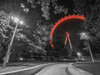 London eye at night by Assaf Frank (24 x 18)