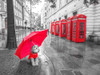 Dog with umbrella in London by Assaf Frank (24 x 18)