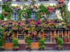 The Churchill Arms pub-London by Assaf Frank (24 x 18)