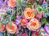 Roses and mixed flowers by Assaf Frank (24 x 18)