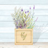 Lavender and Wood Square IV by Janice Gaynor (12 x 12)