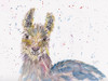 Llama Senorita by Beverly Dyer (24 x 18)