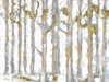 Glistening Forest by Roey Ebert (24 x 18)