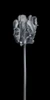 Rcoco tulip-side view by Assaf Frank (12 x 24)