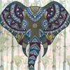 Watercolor Mandala Elephant by Kimberly Allen (12 x 12)