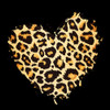 Agate Leopard 3 by Kimberly Allen (24 x 24)