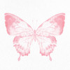 Butterfly Soar 2 by Kimberly Allen (24 x 24)