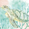 Sea Turtle Swim by Kimberly Allen (12 x 12)
