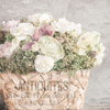 Flower Basket by Kimberly Allen (12 x 12)
