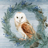 Winter Owl Blues 1 by Kimberly Allen (24 x 24)