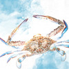 Crab by Kimberly Allen (12 x 12)