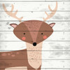 Woodland Creatures 2 by Kimberly Allen (24 x 24)