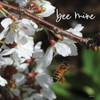 Bee Mine by Susie Boyer (12 x 12)