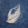 Sea Life Blues 2 by Victoria Brown (12 x 12)