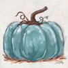 Pumpkin Close-Up III by Sara Baker (12 x 12)