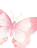 Pink Butterfly V by Susan Ball (18 x 24)