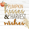 Pumpkin Kisses by Kimberly Allen (24 x 24)