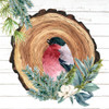 Winter Birds 3 by Kimberly Allen (24 x 24)