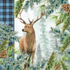 Woodland Christmas 1 by Kimberly Allen (24 x 24)