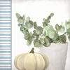 Pumpkin Pot 1 by Kimberly Allen (24 x 24)