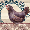 Poultry 3 by Kimberly Allen (24 x 24)