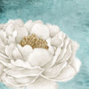 White Peony 2 by Kimberly Allen (24 x 24)