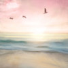Pink Sunrise Beach by Kimberly Allen (12 x 12)