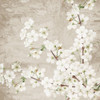 Blossoms by Kimberly Allen (12 x 12)