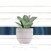 Pots 2 by Kimberly Allen (24 x 24)