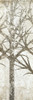 Morning Woods 2 by Kimberly Allen (8 x 24)