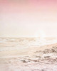Beach Pink 2 by Kimberly Allen (18 x 24)