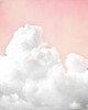 Pink Clouds by Kimberly Allen (18 x 24)