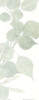 Soft Green 1 by Kimberly Allen (10 x 24)