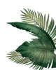 Palms 3 by Kimberly Allen (18 x 24)