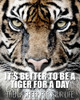 A Tiger for a Day by Kimberly Allen (18 x 24)