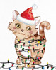 Kitten Lights 1 by Kimberly Allen (18 x 24)