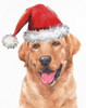 Yellow Lab Lights by Kimberly Allen (18 x 24)