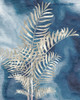 Palm Blues 1 by Kimberly Allen (18 x 24)