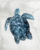 Sea Life 2 by Kimberly Allen (18 x 24)