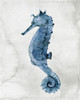 Sea Life 1 by Kimberly Allen (18 x 24)