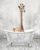 Baby Giraffe Bath by Kimberly Allen (18 x 24)
