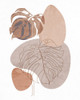 Sand Leaves 1 by Kimberly Allen (18 x 24)