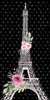 Paris Beauty 1 by Kimberly Allen (12 x 24)